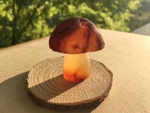 carnelian-mushroom-spirit-magicka-shoppe-agaricomycetes-edible_739_900x