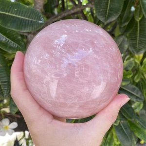 large-rose-quartz-sphere-spirit-magicka-shoppe-plant-food-fruit-683_900x